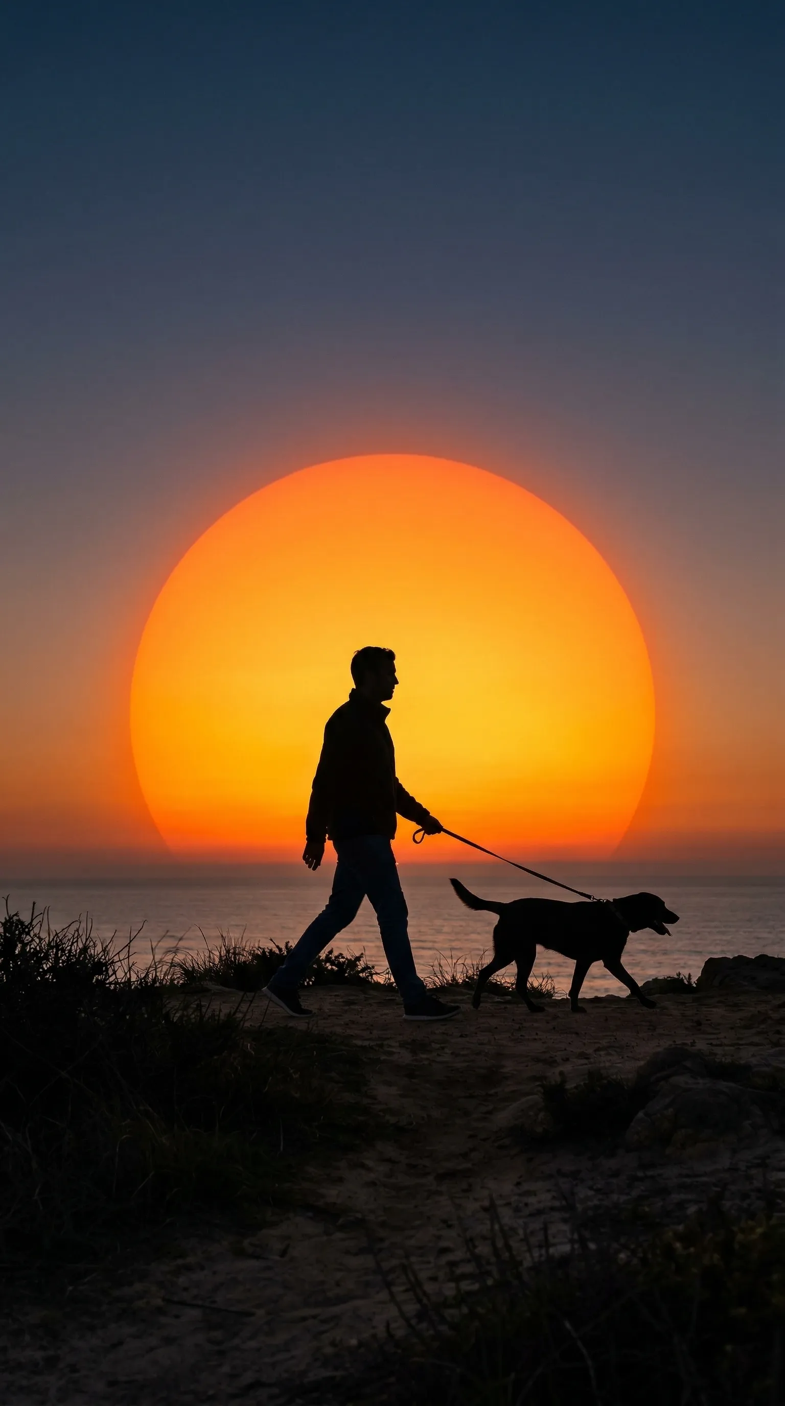 A minimalist silhouette of a man walking his dog against a massive glowing orange sun.
